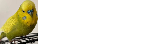 kus